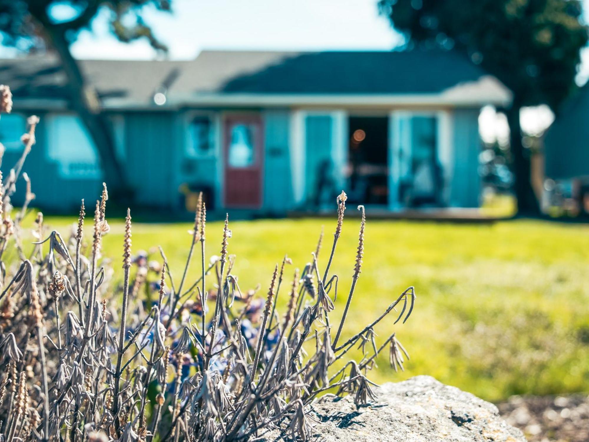 Dungeness Bay Cottages Sequim Bagian luar foto